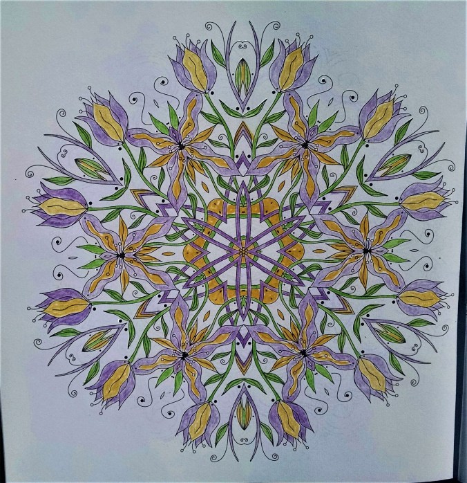 Arrival in Isabela, 2/12/2019